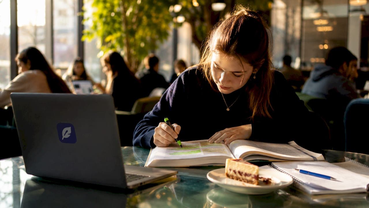 Grammar rules in english writing: a student's guide